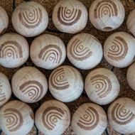 Basic kollekció